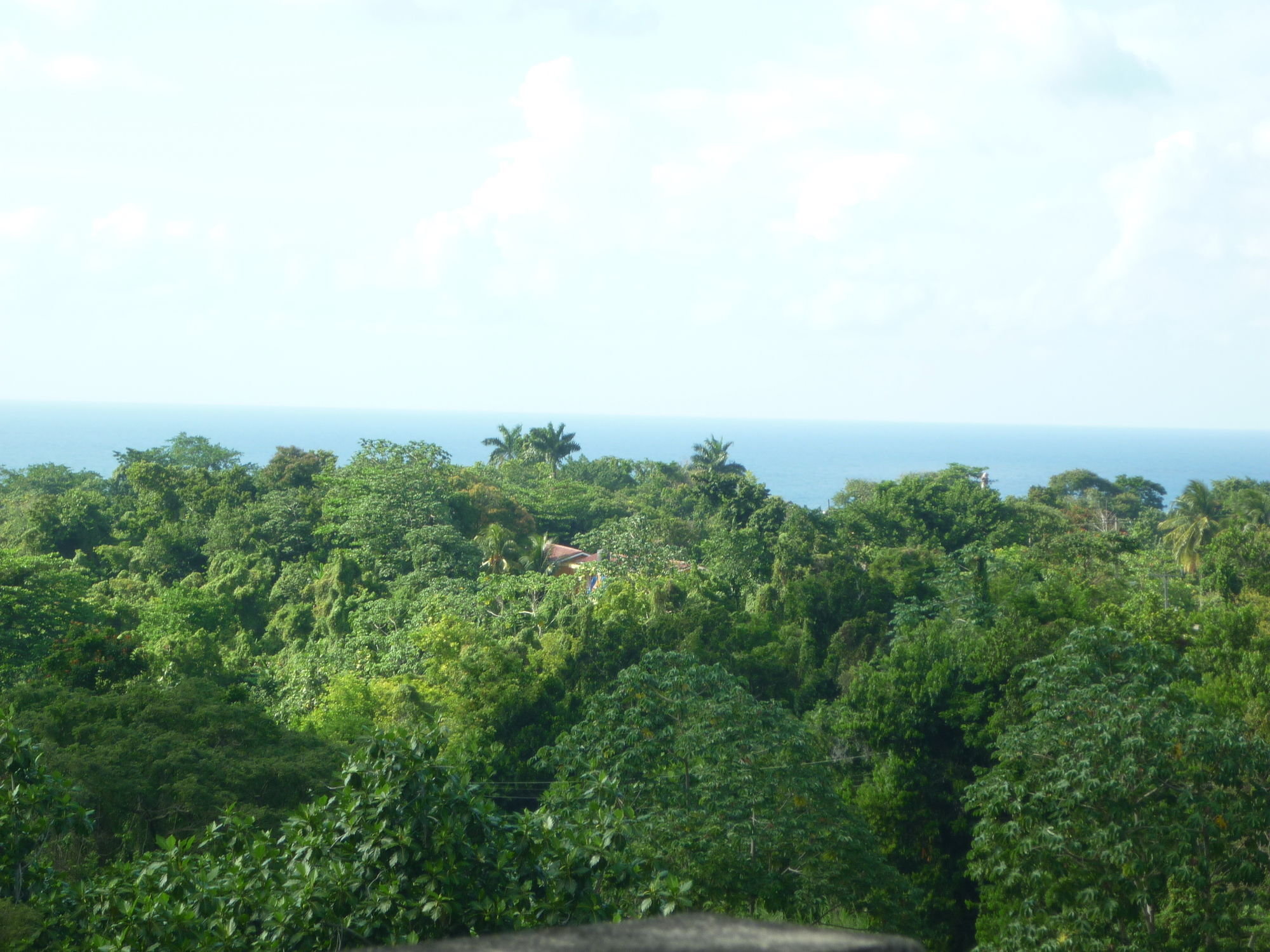 East Bay Villas Port Antonio Bagian luar foto