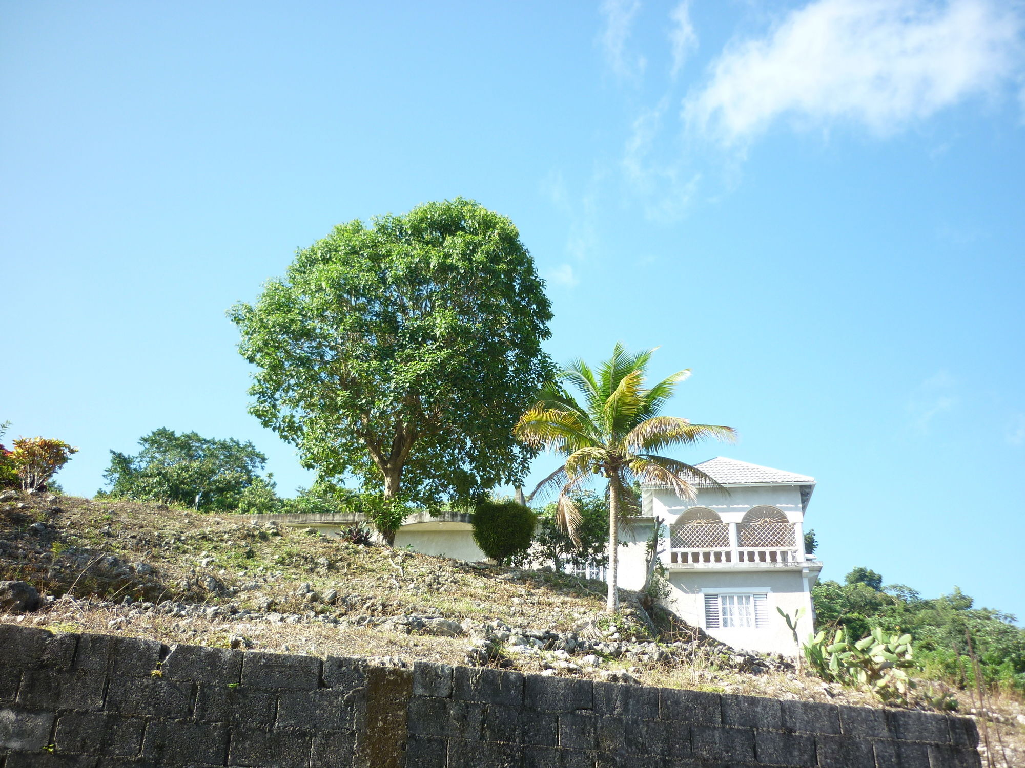 East Bay Villas Port Antonio Bagian luar foto